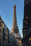 Fototapeta Paryż - Eiffel Tower