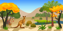 Australian Animals Background