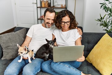 Wall Mural - Middle age hispanic couple smiling happy and using laptop. Sitting on the sofa with dogs at home.