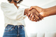 © Dragana Gordic - Recruitment manager shakes her hand with male candidate as he gets the job. Businesswoman handshake with a man in office meeting room.