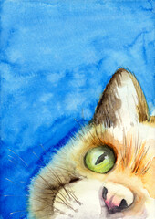 Watercolor picture of a fluffy yellow cat’s face with a vivid green eye on a blue sky background