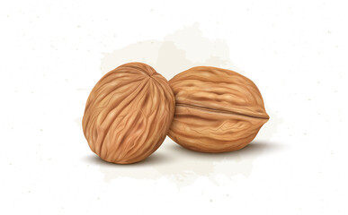 Sticker - Set of Two Brown walnut vector illustration isolated on white background