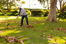 Image Of Senior Caucasian Man Swiping Leaves In Autumn Garden