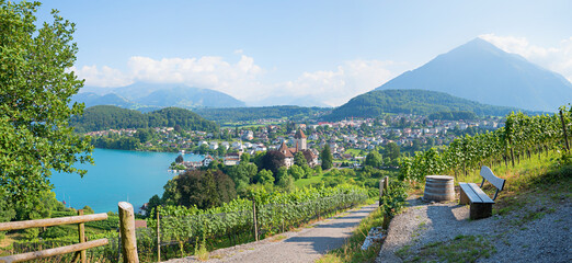 Wall Mural - hiking route Rebberg Spiez, with bench and view to lake Thunersee and Niesen mountain