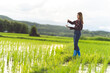 © PIPAT - Female farmer using tablet at close range to collect data at the rice fields in the evening with warm light Agriculture concept, technology concept