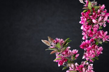 Canvas Print - Beautiful fresh spring flower details