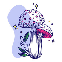 Fairy Mushrooms, A Pair Of Mushrooms With Plants And A Starry Background, Graphics, Doodle