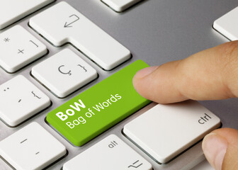Wall Mural - bow bag of words - inscription on green keyboard key.