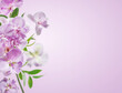 Pink orchids flowers border at pastel colored background.  Front view with copy space.