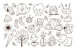 © insemar - Cute doodle autumn objects isolated. Collection of seasonal things like clothing, pumpkins, food, and fall animals, perfect for creating autumn decorative designs.