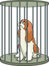 A Dog Locked In A Round Cage, Waiting For The Sentence, Doomed, Quarantine, Covid, Monkey Flu,
