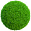 circle shape on grass in 3d render