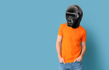 Man With Head Of Gorilla On Blue Background
