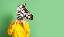 Woman With Head Of Zebra And Headphones On Green Background