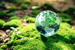 © Kannapat - Crystal globe putting on moss, ecology and environment sustainable concept.
