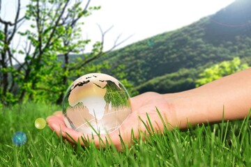 Canvas Print - Environment. Glass Globe On Grass In Forest, Environmental Conservation Concept