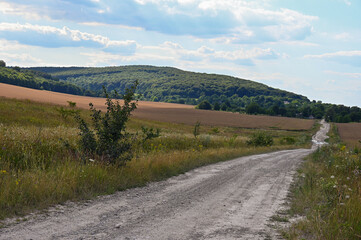 country road from the village