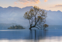 A Solitary Tree Has Grown Up All Alone On Lake Wanaka, Backdropped By The Beautiful Southern Alps, New Zealand.