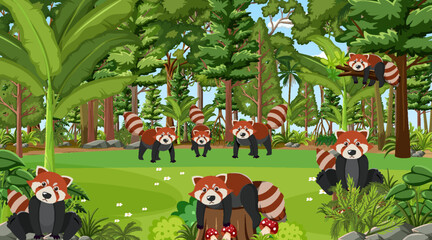 Poster - Red pandas in the forest scene