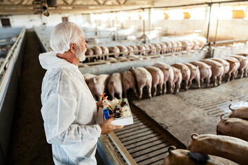 Pig farming, pig breeding, and veterinary. 