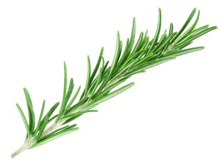 Wall Mural - Rosemary twig isolated on white background  