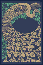Beautiful Peacock Vector Woodcut. Vintage Graphic. Book Cover Design, Packaging And Invitations. 