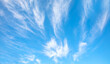 Blue sky and white clouds background - Pillowy clouds cover a blue sky in the background