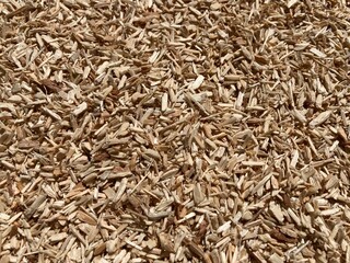 Poster - a pile of many wood chips