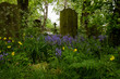 Starożytne kamienne nagrobki na Cmentarzu All Saints Cemetery w Jesmond, Newcastle