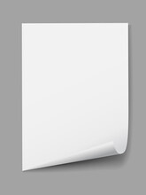 A Blank White Sheet Of Paper. Vector Illustration Of A Blank Sheet Of Paper.