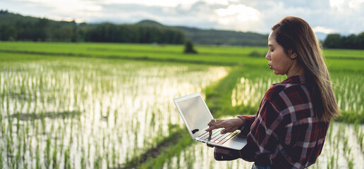 Asian woman farmer using laptop to store farm data In the evening with warm light. Agricultural technology concept. Organic agriculture.