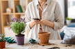 canvas print picture - people, gardening and planting concept - close up of woman with smartphone and pot flower at home