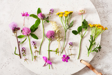 Wall Mural - medical flowers herbs, alternative medicine healthy lifestyle. clover milfoil tansy rosebay