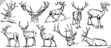 Vintage Engrave Isolated Deer Set Illustration Ink Sketch. Wild Doe Stag Background Reindeer Vector Art