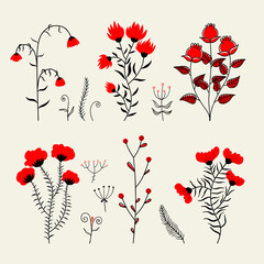 Wall Mural - Collection of red and black hand drawn flowers and leaves. Decorative doodle shapes  decoration set. Elegant illustration for invitations, greeting cards, quotes, blogs, weddings, posters. Isolated.