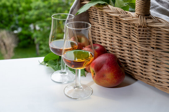 tasting of strong alcoholic drink calvados made from apples in normandy, calvados region, france