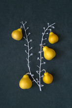 Still Life With Pear-shaped Yellow Decorative Pumpkins On A White Twig