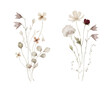 Watercolor bouquet with wild plants and flowers. Meadow dried wildflowers. Elegant ethereal nature, floral arrangements