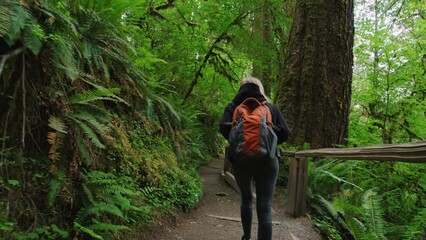 girl hiking during vacation at wilderness area of olympic national park. back view of a backpacker w