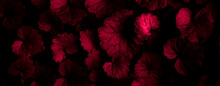 Background Of Tiny Red Leaves