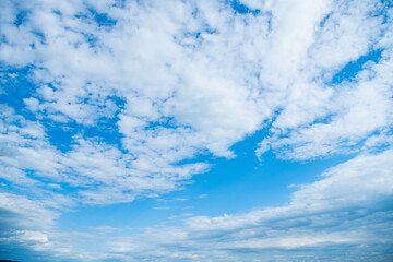 Wall Mural - blue skyscape background with white fluffy clouds