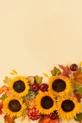 Autumn holiday composition. Sunflowers, dried leaves, pumpkins, apples and rowan berries on yellow background.