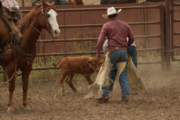 Ranch Cowboy Horse Riding & Livestock