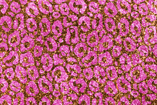 Pink Glam Animals Skin Texture Background