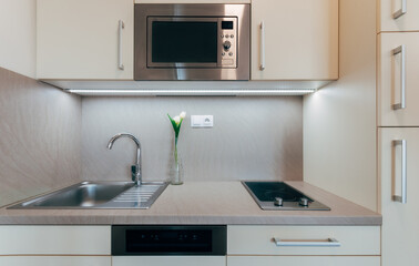 Small compact kitchen unit in modern style with several cabinets and drawers with handles. Kitchen includes built-in appliances. The line is diversified by a simple vase with several flowers.