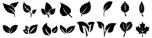 Sheet Vector Icon Set. Nature Illustration Sign Collection. Garden Symbol. Flora Logo.