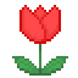 Pixel Illustration of  a tulip