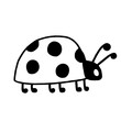 Funny ladybug in doodle style. Hand drawn cute insect vector illustration.