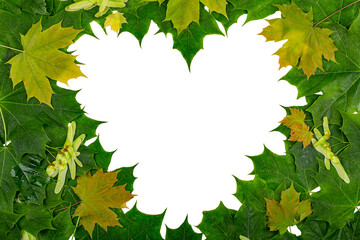 Wall Mural - A heart-shaped frame made of multicolored maple leaves. copy space