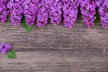 Wall Mural - Purple lilac flowers on a blue background, copy space